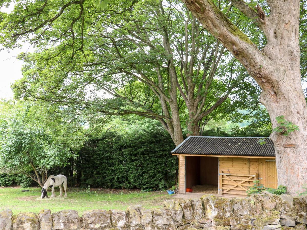 Bluebell Cottage ألفريتون المظهر الخارجي الصورة